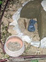 Z DĚNÍ VE MĚSTĚ