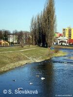 * Z DĚNÍ VE MĚSTĚ